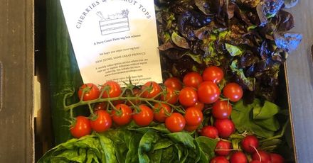 Perry Couirt Farm veg box