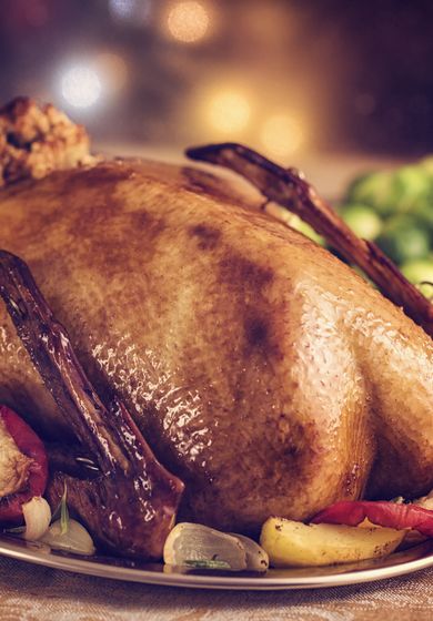 Norfolk Goose Christmas