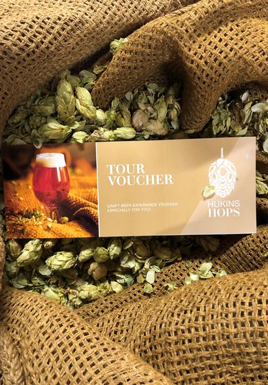 Tour Voucher 4