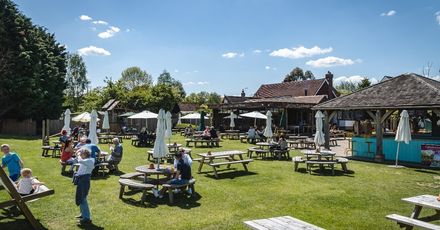 Elite Pubs garden sunshine