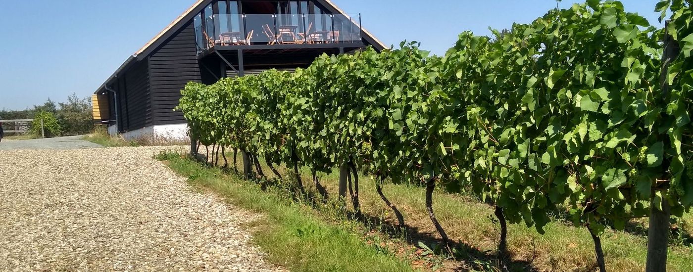 Clayhill vineyard latchingdon 4