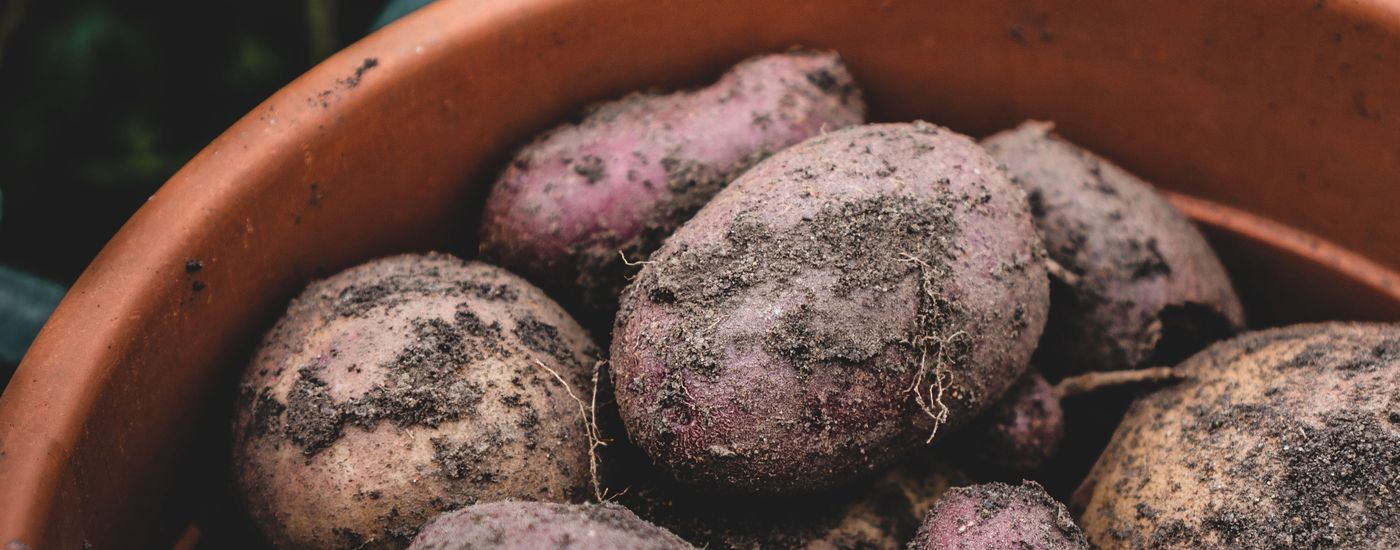 Potatoes