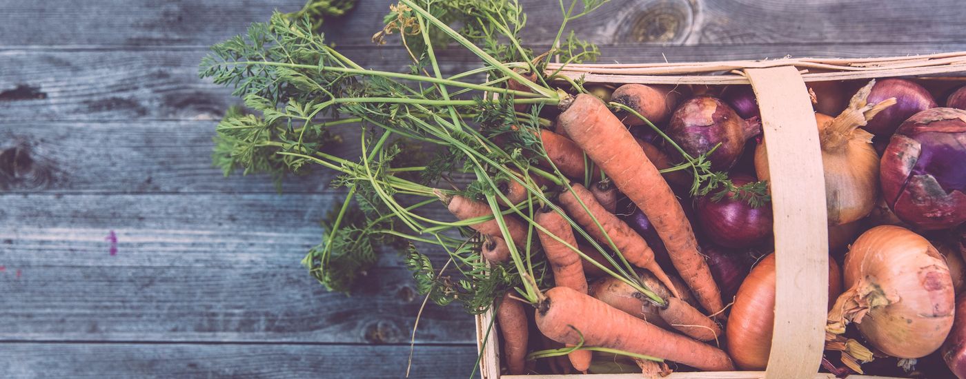 Carrot trug