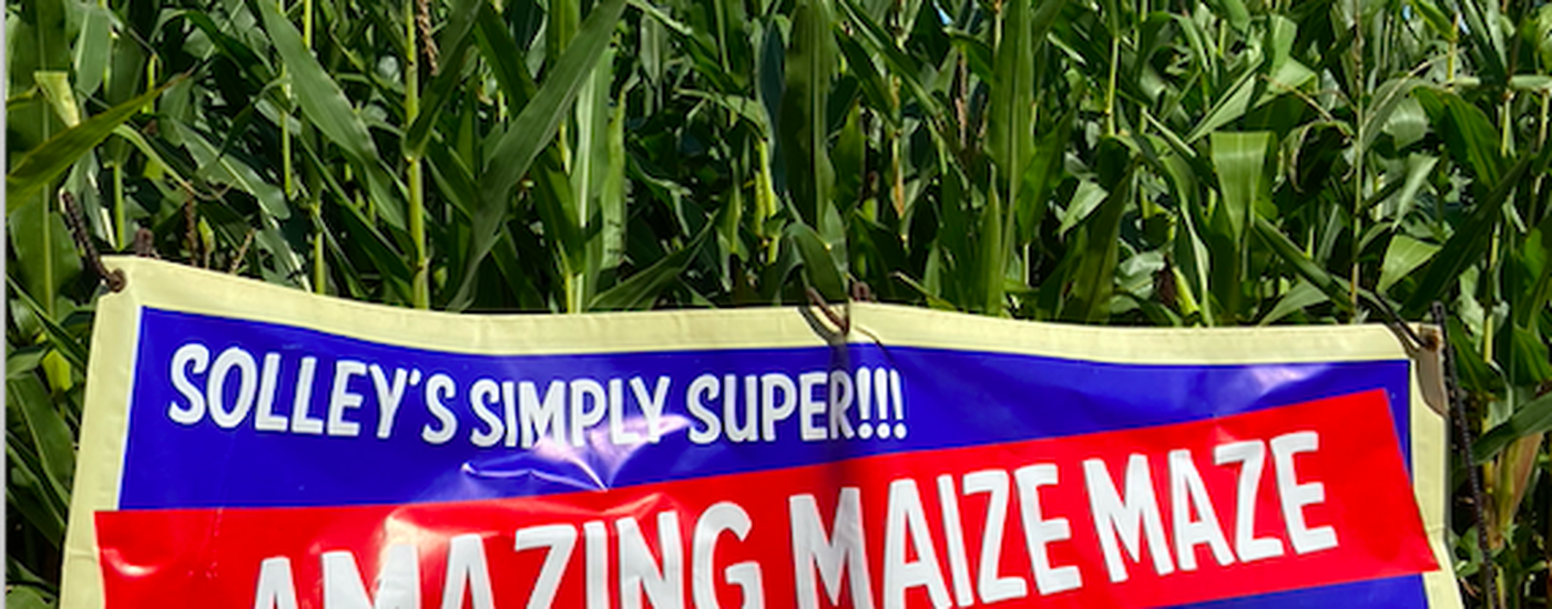 Solleys Maize Maze