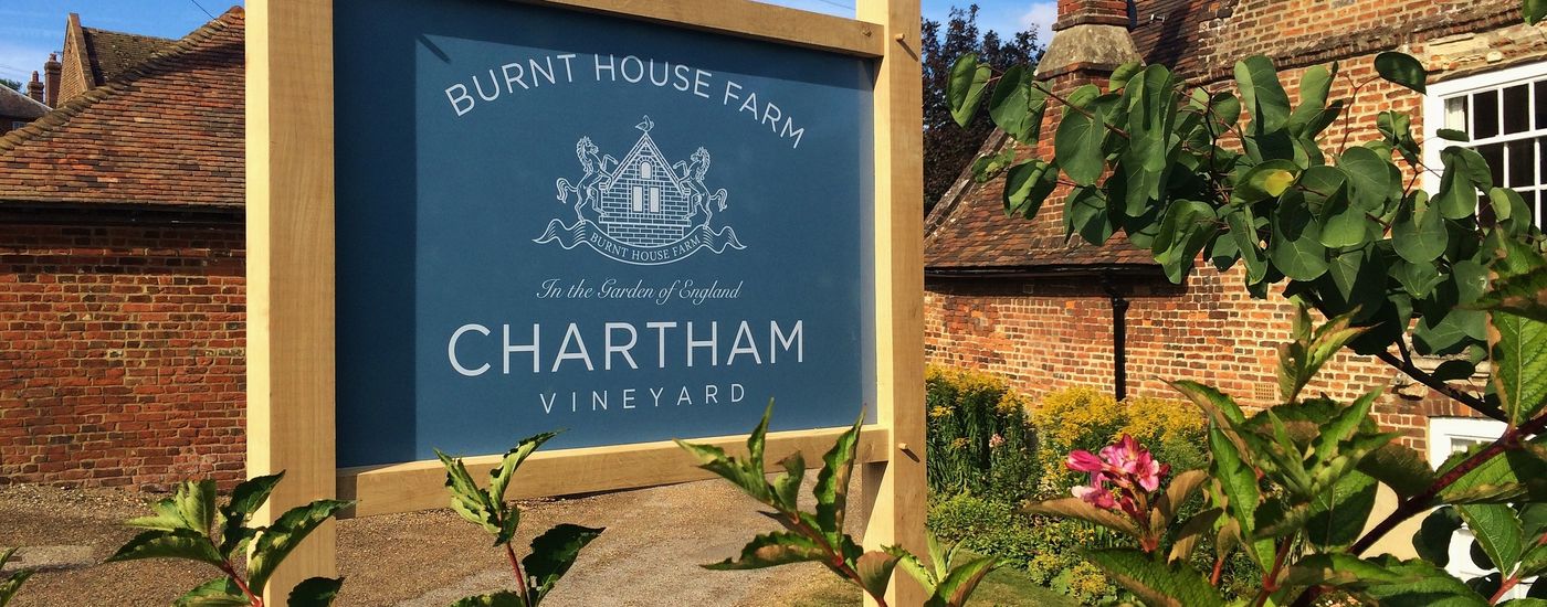 Chartham vineyard 2