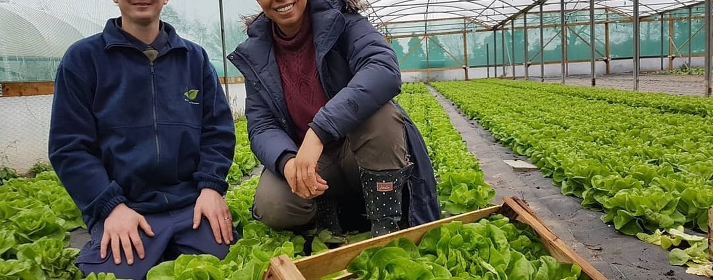 Walmestone Growers